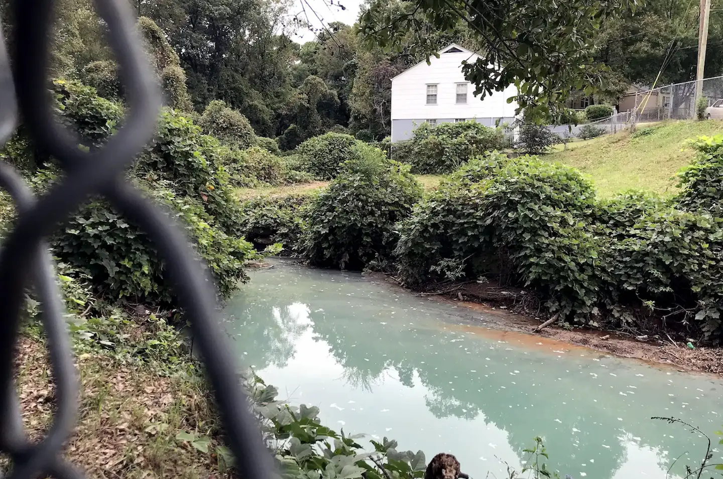 A house with a polluted creek in front of it and overgrown kudzu vines.
